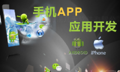 手機(jī)app開發(fā)11大步驟、技術(shù)人員、常用接口